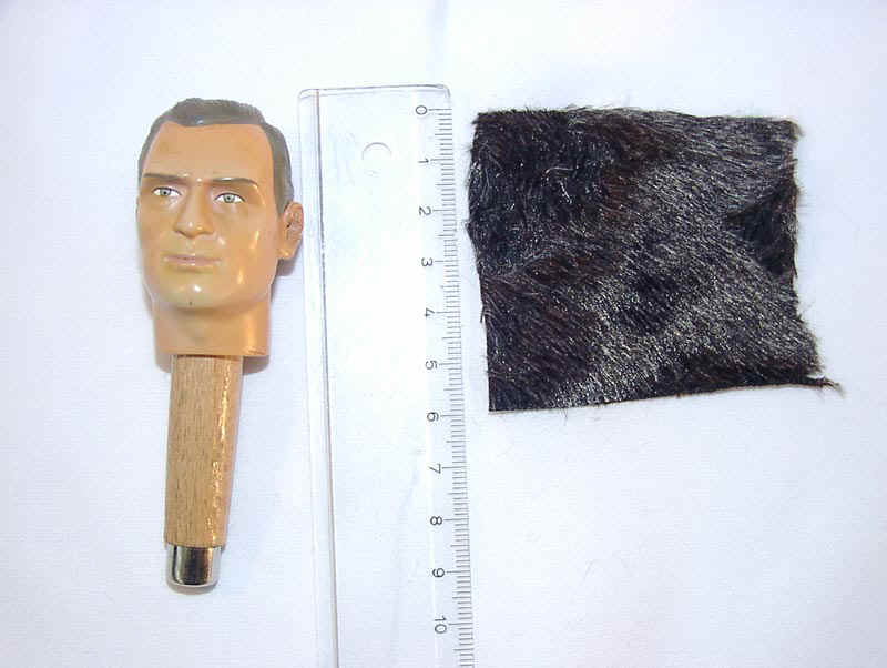 Haare001.jpg (84978 Byte)
