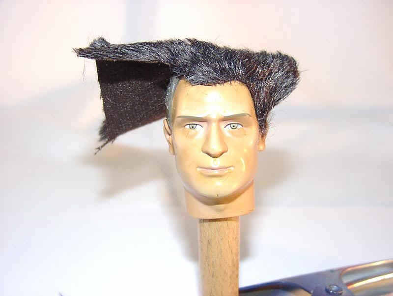 Haare002.jpg (59162 Byte)