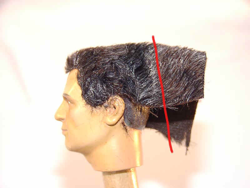 Haare004.jpg (66573 Byte)