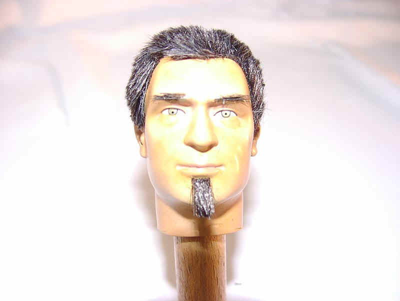 Haare008.jpg (49236 Byte)